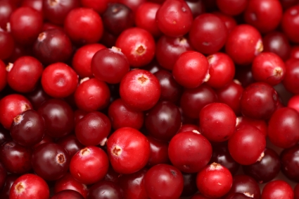 Res_4002623_cranberries